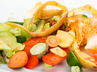 Food waste