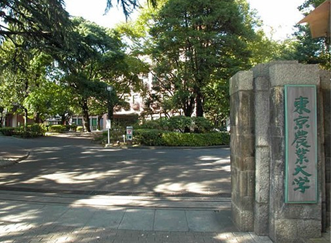Tokyo Agricultural University, Japan (3 tons per day)